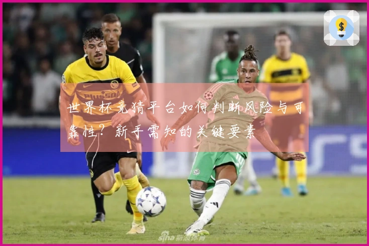 世界杯竞猜平台如何判断风险与可靠性？新手需知的关键要素